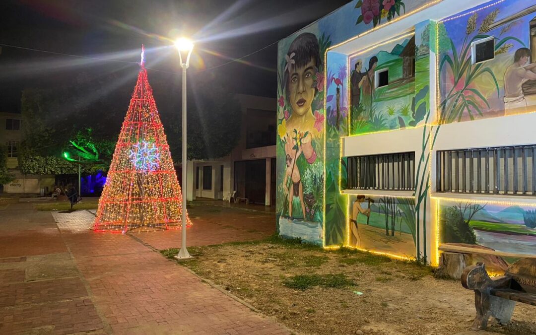 Modernización del servicio de Alumbrado Publico en el Parque Libertadores