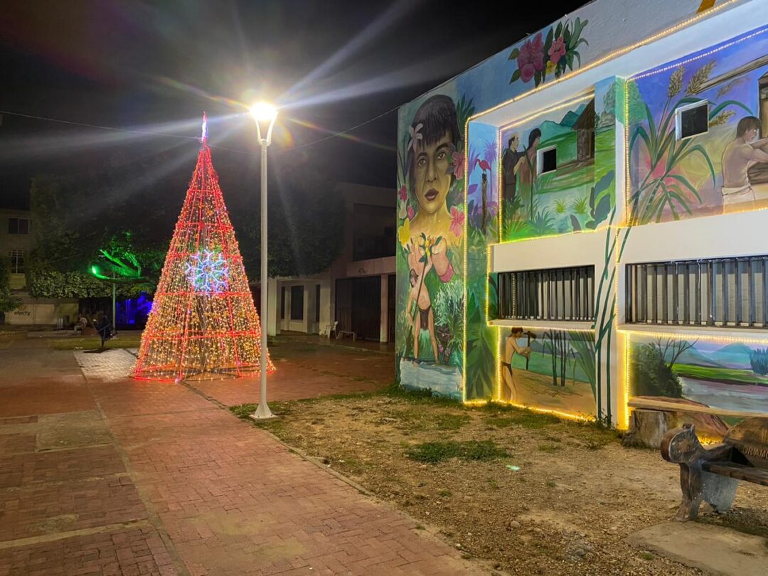 Modernización del servicio de Alumbrado Publico en el Parque Libertadores